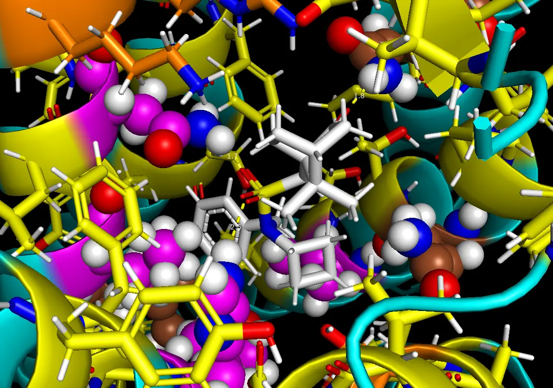 Example of a prospective drug (white) identified by Rosetta in the hypocretin receptor binding pocket. Amino acids identified to interact with the drug are highlighted in pink or brown.
